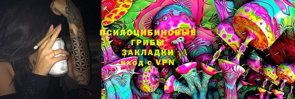 сатива Алексеевка
