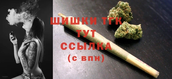 соль ск Алзамай