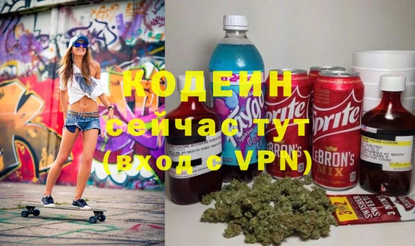 соль ск Алзамай